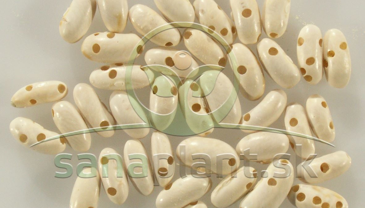 Zrniarka fazuľová – poškodené semená