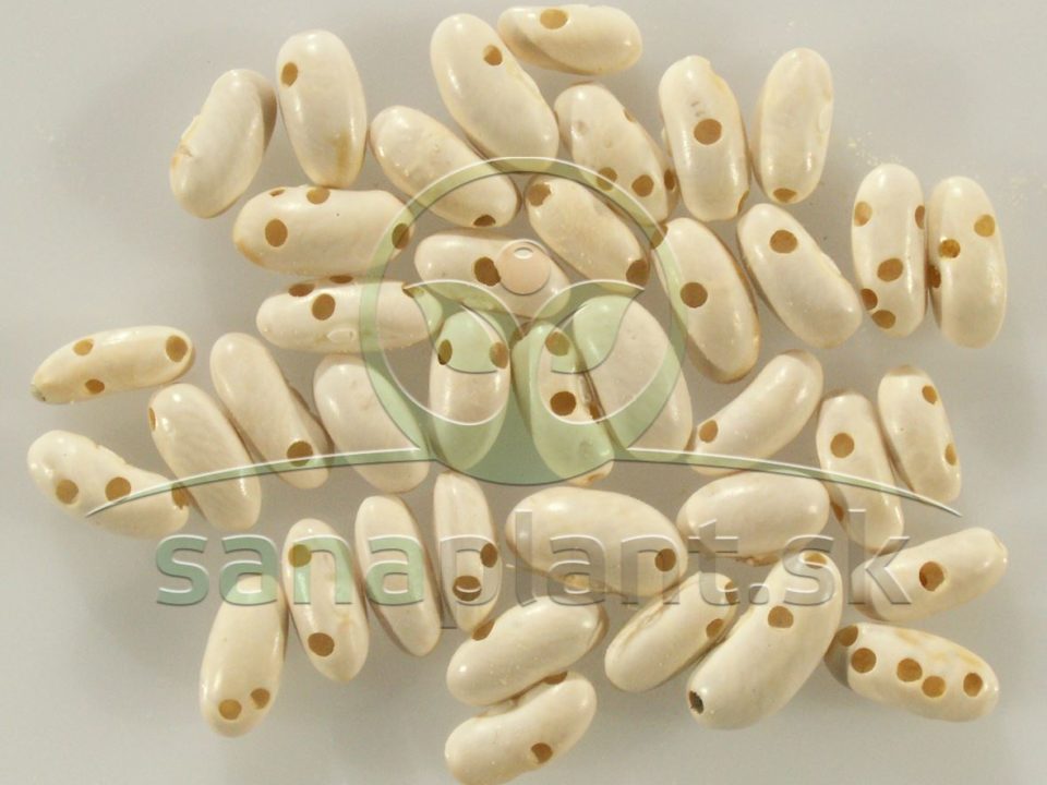 Zrniarka fazuľová – poškodené semená